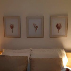 Set of 3 prints with frames